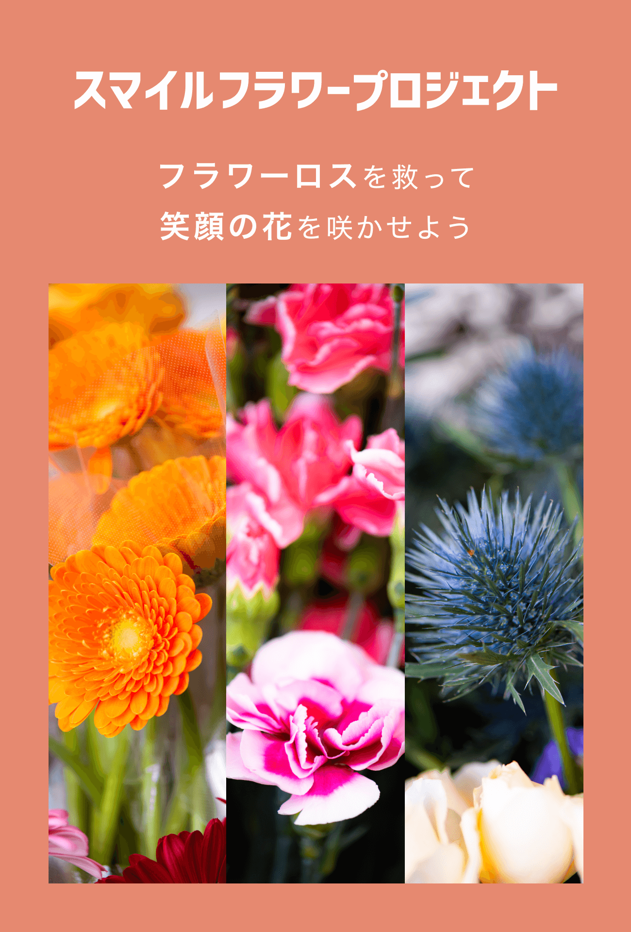 フラワーロスを救って笑顔の花を咲かせよう