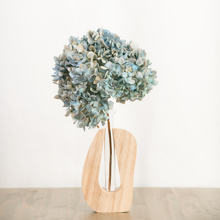 紫陽花のドライフラワーを作るコツとは？上手に乾燥させる方法