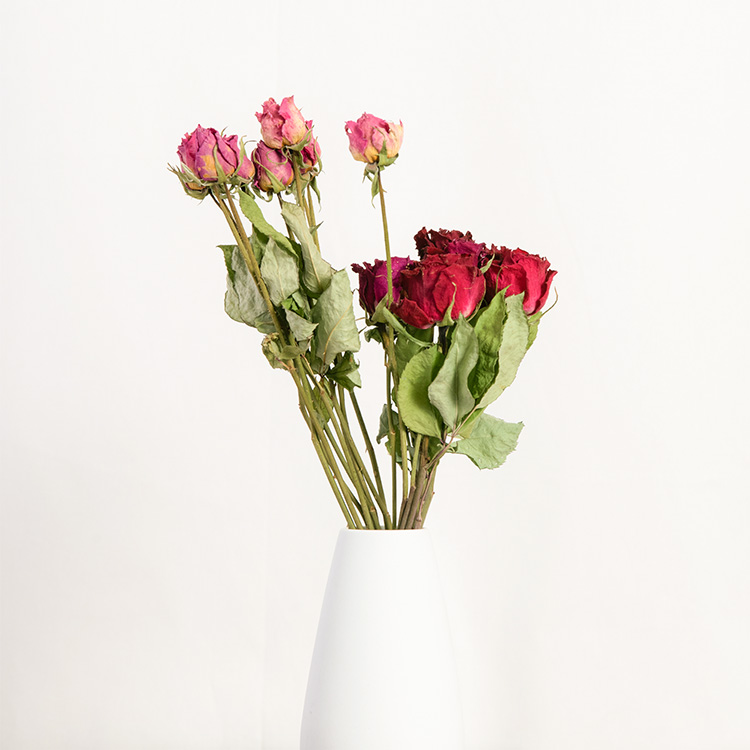 薔薇のドライフラワーを手作りしたい！コツと注意点を解説