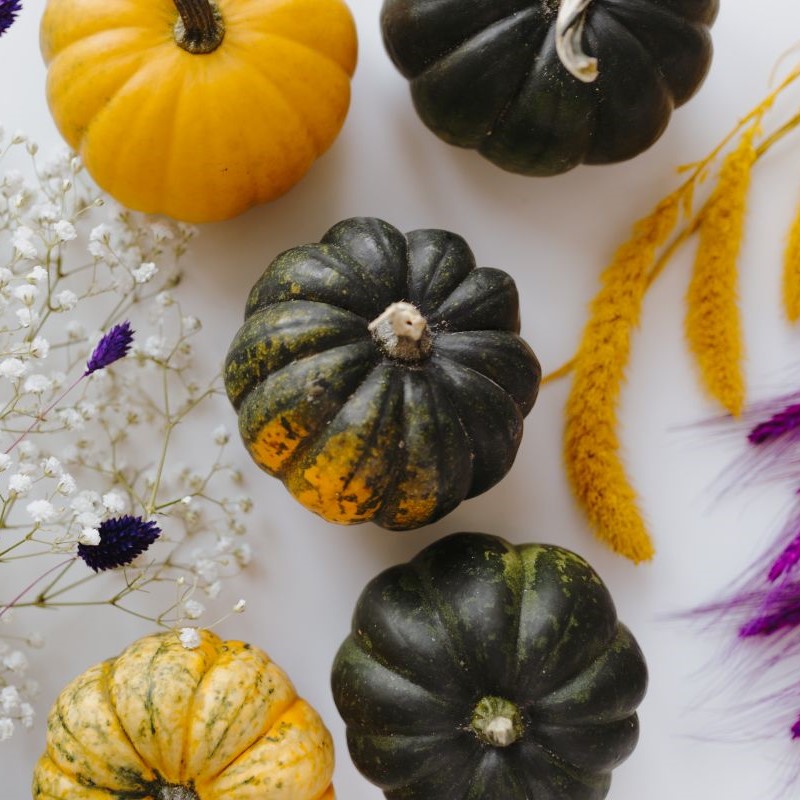 ハロウィン飾りを手作りする簡単アイデア5選！すぐ真似できるレシピを大公開