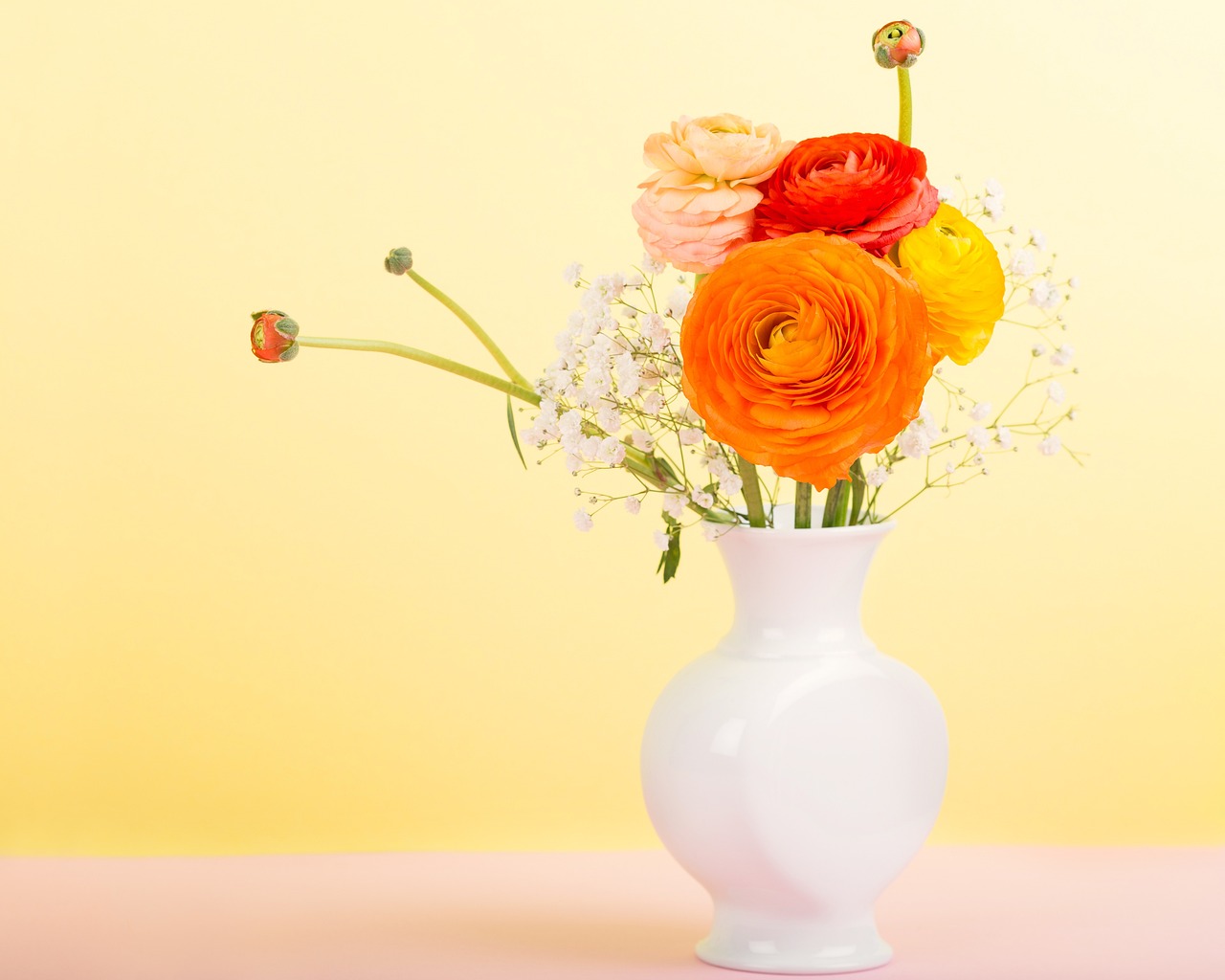 玄関に飾るおすすめの花！風水的に相性の良い色を方角別にご紹介