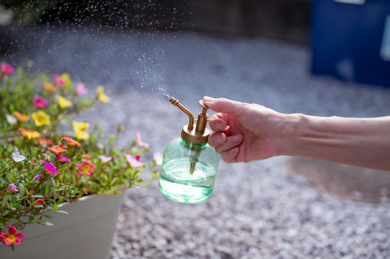 春の花でガーデニングを楽しむ3つのコツ！おすすめの花もご紹介