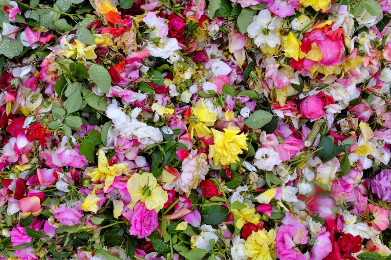 綺麗なお花が廃棄されるフラワーロス問題と誰もができる解決法