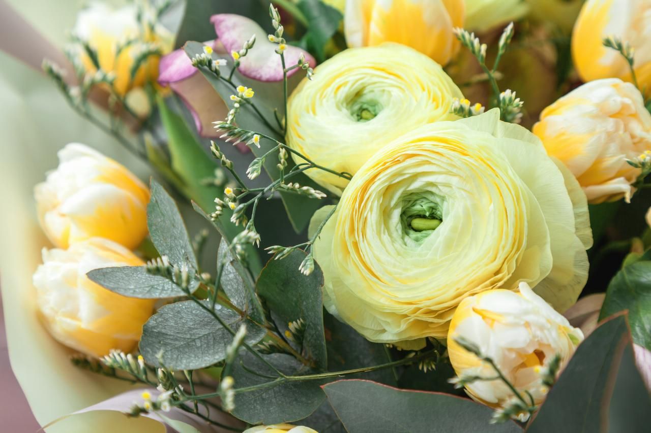 【簡単に確認できる】月別の誕生花一覧