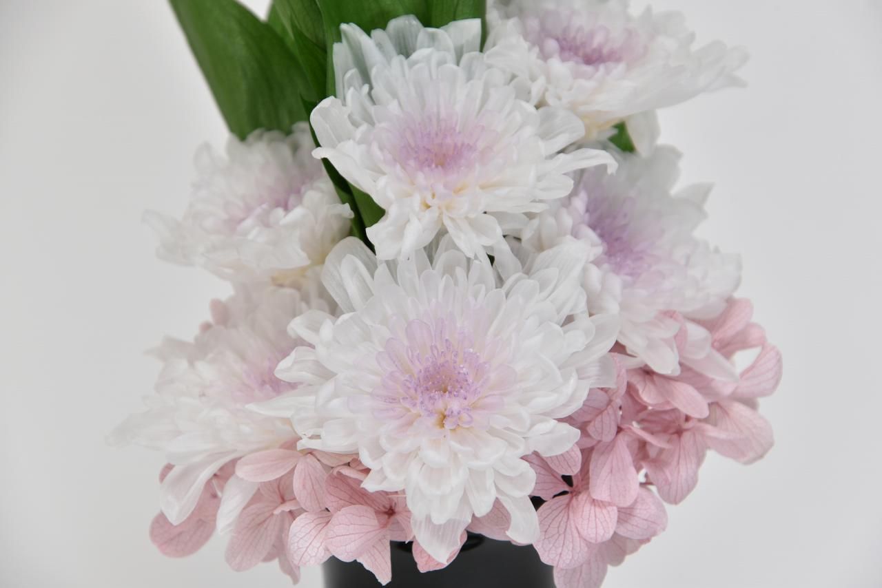色々な誕生花の花言葉をジャンル別に一覧で紹介します