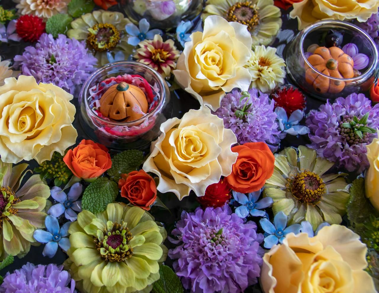 ハロウィンに飾るならどんな花？雰囲気ぴったりのお花一覧