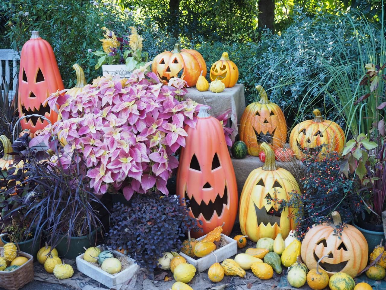 ハロウィン飾りを手作りで！お花を使った装飾アイデア