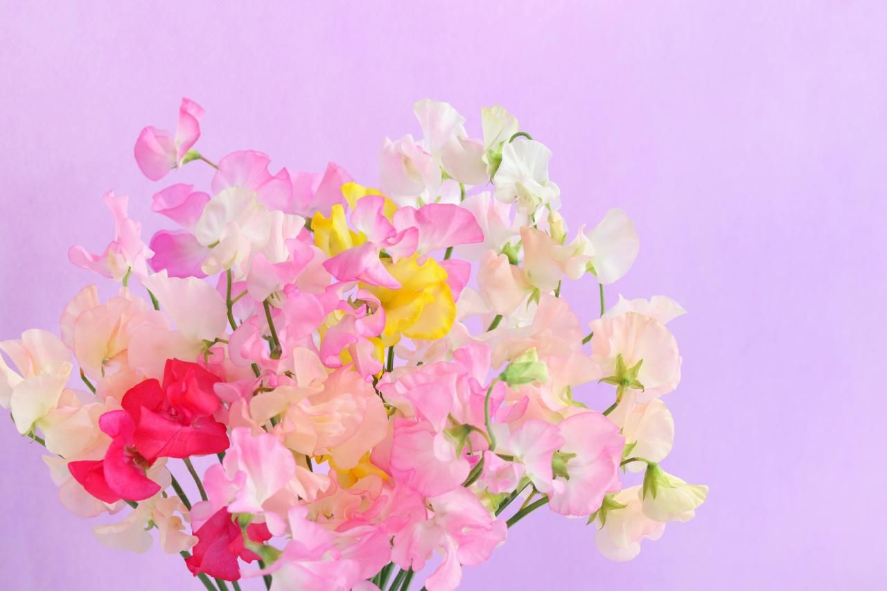 プロポーズの贈り物にお花を添えて雰囲気◎！センスの光る選び方